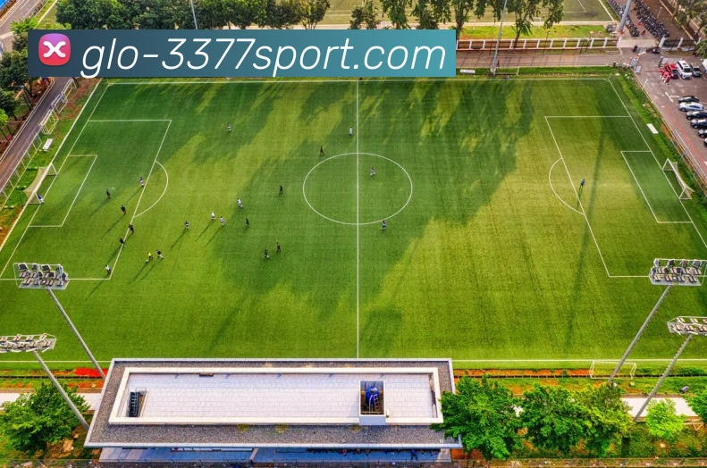 3377体育官网服务体系